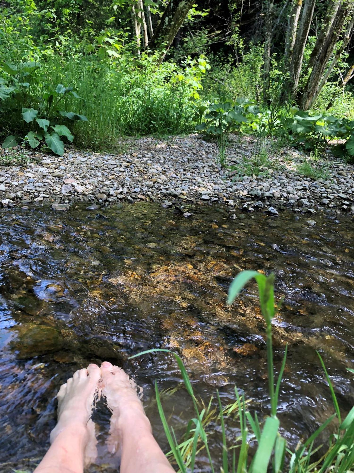 Lejlighed Natur- & Aktivoase Buchenberg (Bavaria)